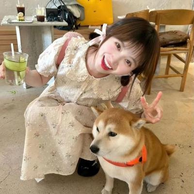 爱与黑暗的故事