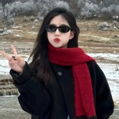 汽车先生和圣殿骑士团