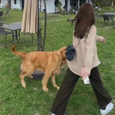 不可思议先生